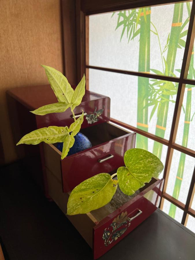 Vila ゆい屋 Ishigaki  Exteriér fotografie
